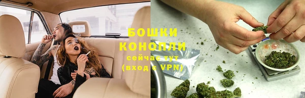 крисы Нея