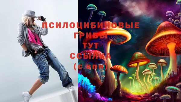 крисы Нея