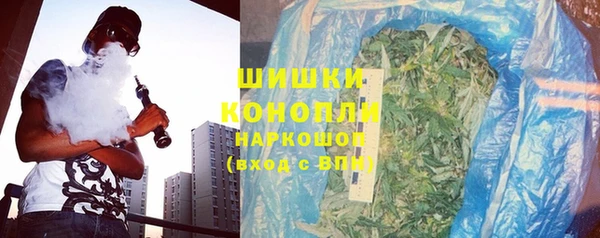 винт Гусев