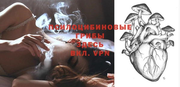 2c-b Белокуриха