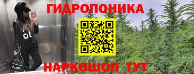 бошки Гай