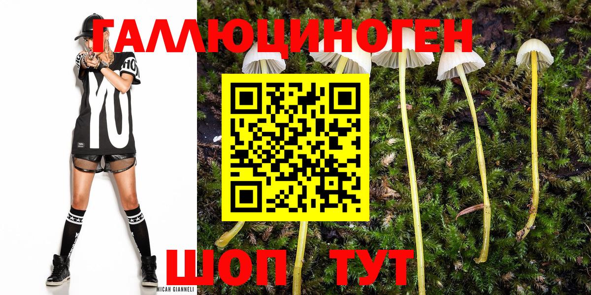 Меф Новосибирск