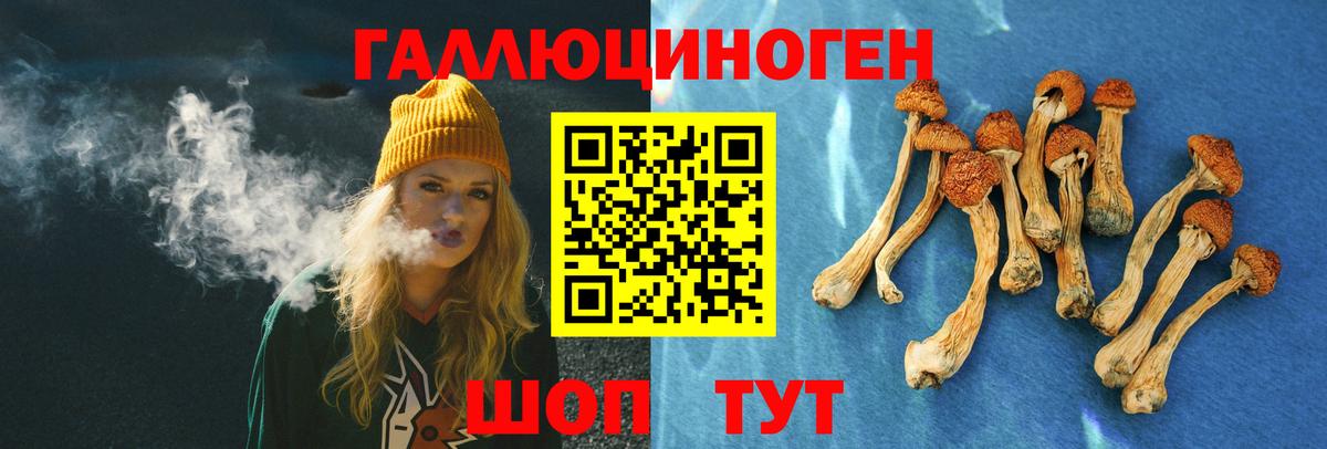 Новосибирск  Галлюциногенные грибы ЛСД  Вход с VPN  Псилоцибиновые грибы Psilocybine cubensis 