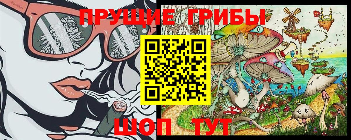 Псилоцибиновые грибы GOLDEN TEACHER Новосибирск
